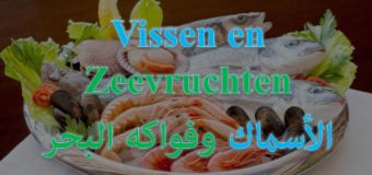 أسماء الأسماك وفواكه البحر بالهولندي